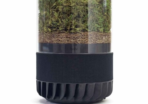 Breathe Easier by Installing 18x20x2 Air Filters With an Air Ionizer